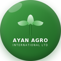 Ayan Agro Logo